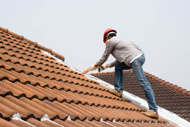 Best Roof Insulation Installation  in Mount Jackson, VA