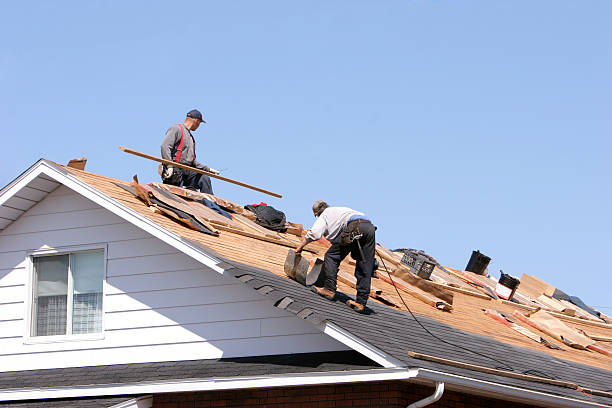 Best Asphalt Shingle Roofing  in Mount Jackson, VA